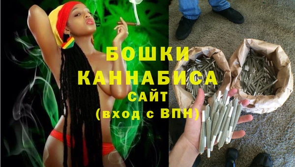 сатива Дмитровск