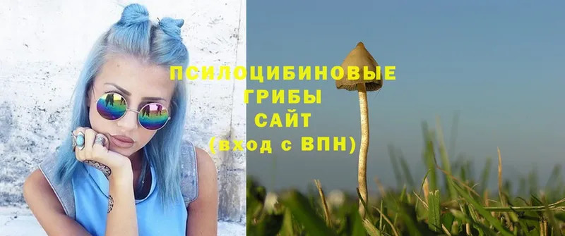 Псилоцибиновые грибы Magic Shrooms  Железногорск 