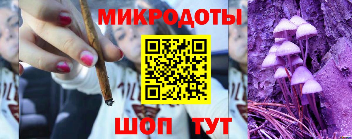 Галлюциногенные грибы Psilocybe  Железногорск 