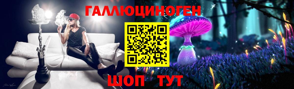 закладки  Псилоцибиновые грибы Cubensis  Вход с VPN  Железногорск 